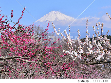 岩本山公園からの風景-223595 岩本山公園からの風景-223595 35550136
