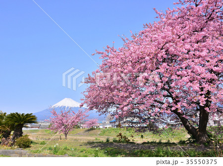 和田川岸からの風景-223496 35550375