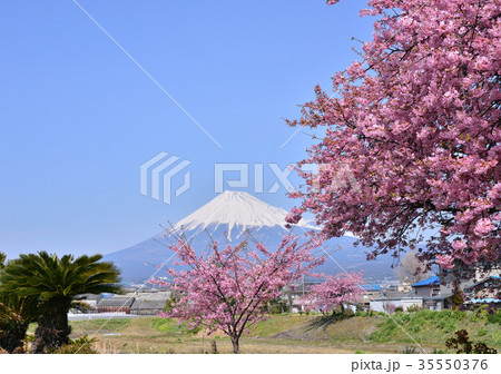 和田川岸からの風景-223497 35550376