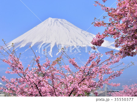 和田川岸からの風景-223498 35550377