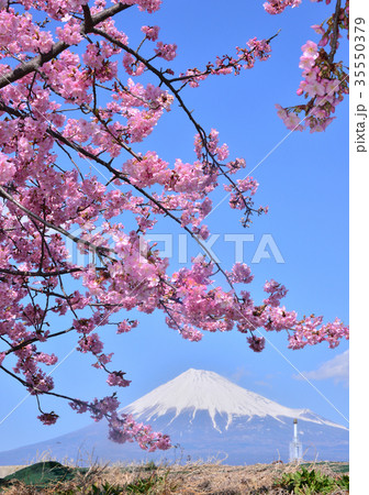 潤井川岸からの春の風景-223500 潤井川岸からの春の風景-223500 35550379