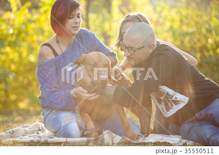 Beautiful gorgeous family of three playing in the Beautiful gorgeous family of three playing in the 35550511