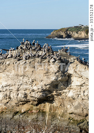 Herd of birds on Natural Brides rock 35552178