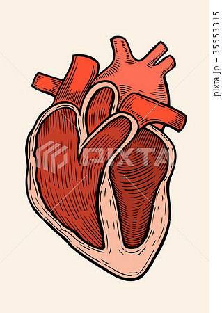 vector engraving heart vector engraving heart 35553315