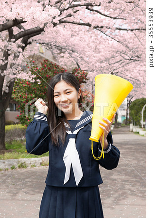 桜 学習イメージ 桜 学習イメージ 35553939