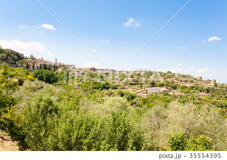 Montalcino view, tuscany, Italy Montalcino view, tuscany, Italy 35554395