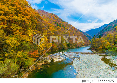 紅葉 秋 秋田 抱返り渓谷の写真素材