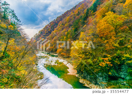 紅葉　秋　秋田　抱返り渓谷 35554477