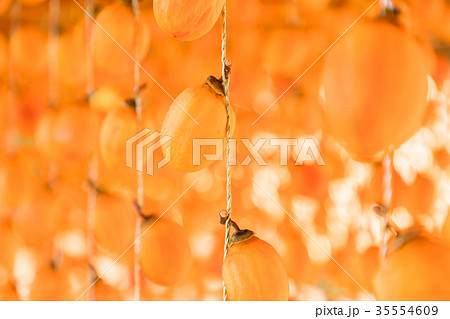 ほし柿　オレンジ色の柿すだれ 35554609