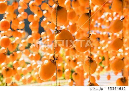 ほし柿　オレンジ色の柿すだれ 35554612