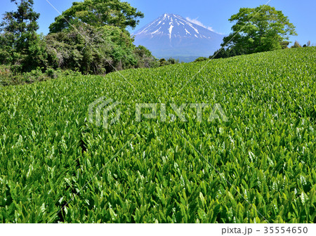大淵からの春の風景-333255 大淵からの春の風景-333255 35554650