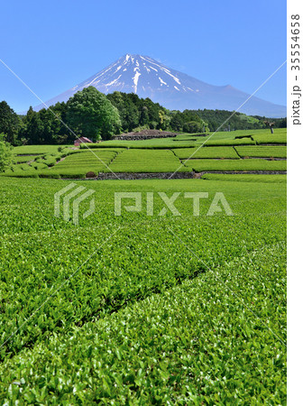 大淵からの春の風景-333262 大淵からの春の風景-333262 35554658