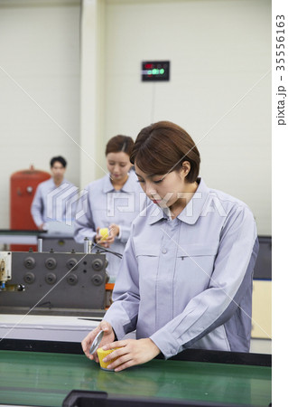 工場 東洋人 大人 35556163