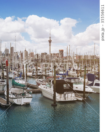 Yacht at Harbour in Auckland, New Zealand Yacht at Harbour in Auckland, New Zealand 35556611