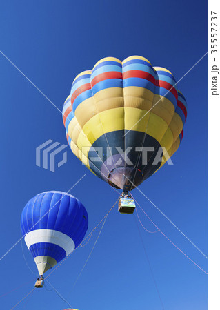 35557237
