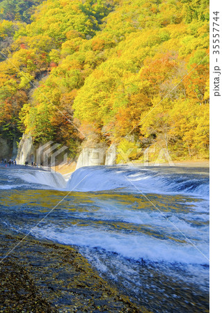 紅葉の吹割滝と流れ（縦） 35557744