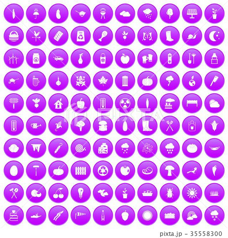 100 vegetables icons set purple 100 vegetables icons set purple 35558300