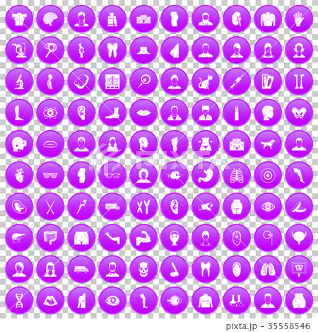 100 organ icons set purple 100 organ icons set purple 35558546