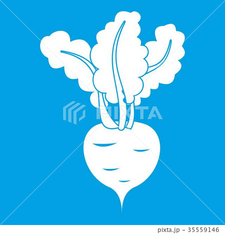 Fresh beetroot icon white Fresh beetroot icon white 35559146