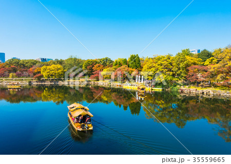 秋の大阪城公園と御座船 35559665