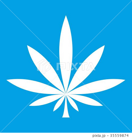 Cannabis leaf icon white 35559874
