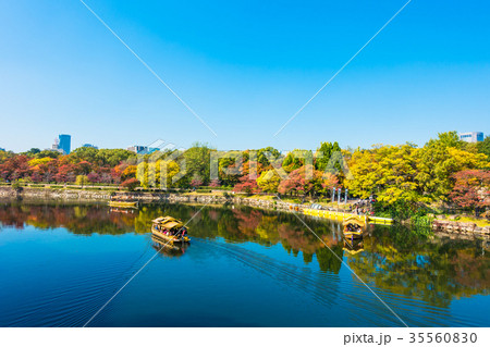 秋の大阪城公園と御座船 35560830
