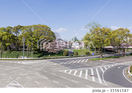 名古屋城と桜　国道22号線と県道215号線（出来町通） 35561587
