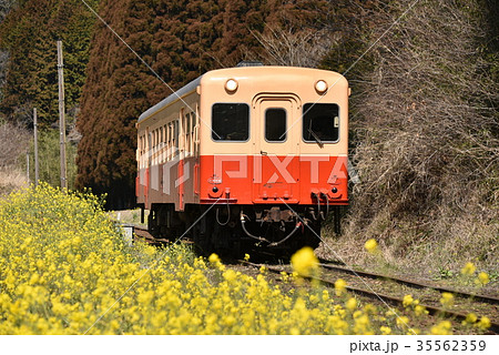 春の小湊鉄道 春の小湊鉄道 35562359
