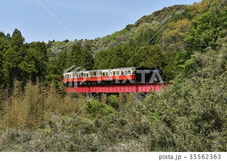 里山を走るSLトロッコ列車 里山を走るSLトロッコ列車 35562363