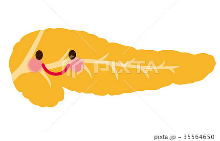 膵臓　医療　キャラクター 35564650