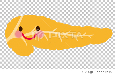 膵臓　医療　キャラクター 35564650