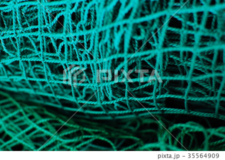 網の中 35564909