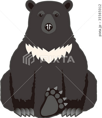 Asian Black Bears Stock Illustration