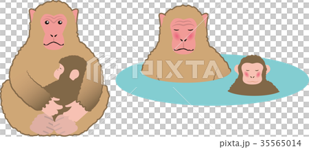 日本獼猴 35565014