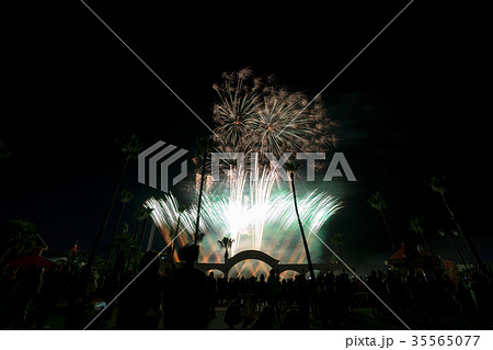 ニューレオマワールド (11月　イルミネーション) 35565077