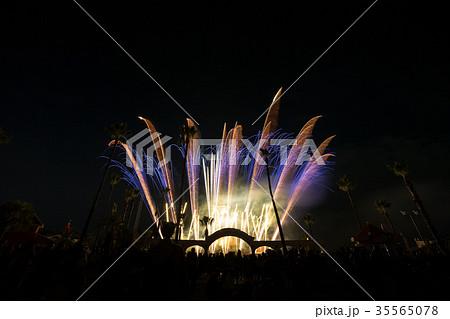 ニューレオマワールド (11月　イルミネーション) 35565078