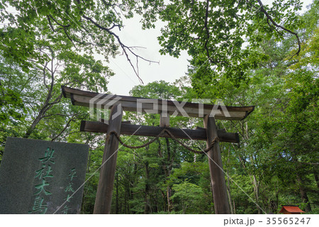 戸隠神社奥社参道風景 戸隠神社奥社参道風景 35565247