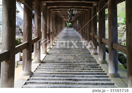 登廊（ヨコ）　長谷寺 35565716