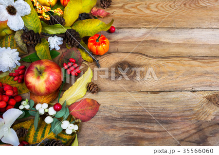 Thanksgiving greeting with pumpkin apple fall leaf 35566060
