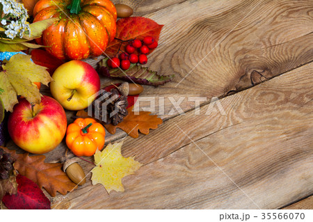 Pumpkins, apples, berries, pine cones, acorn leaf 35566070