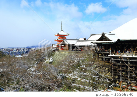 京都 清水寺 雪景色 京都 清水寺 雪景色 35566540
