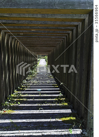 小栗郷 遊歩道木造アート 35566964