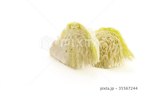 fresh cabbage fresh cabbage 35567244