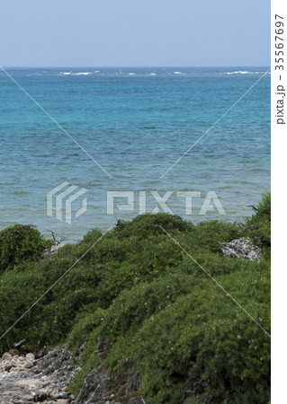 黒島 (沖縄県竹富町)の風景 35567697