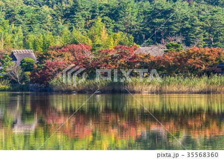 秋の京都 広沢池 秋の京都 広沢池 35568360