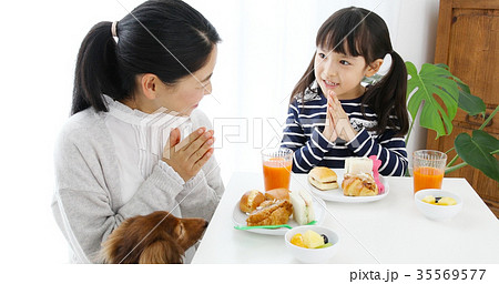 親子　犬　食事　いただきます　 35569577