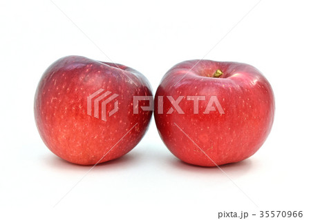 リンゴ（シナノほっぺ） 35570966