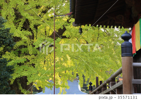 鑁阿寺 鑁阿寺 35571131