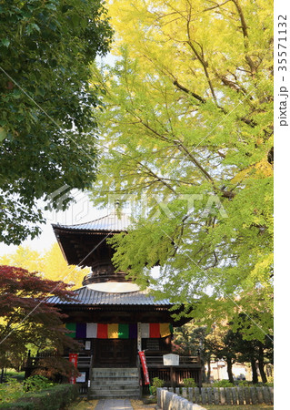 鑁阿寺 鑁阿寺 35571132