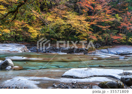 面河渓の紅葉 35571809